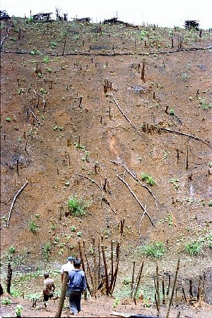 NRK_Ph_42214.JPG