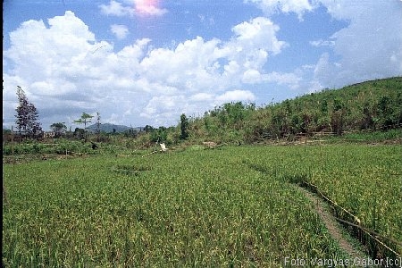 NRK_Ph_42222.JPG