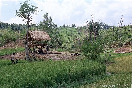 NRK_Ph_42223.JPG