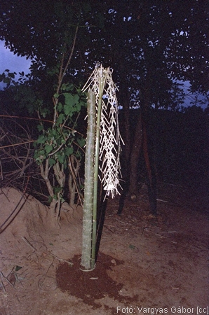 NRK_Ph_42249.jpg