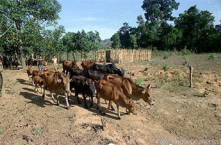 NRK_Ph_42387.JPG