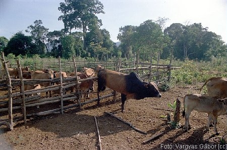 NRK_Ph_42392.JPG