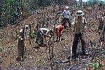 NRK_PH_42197
