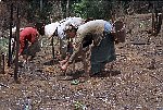 NRK_PH_42198