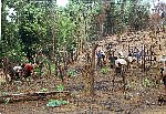 NRK_PH_42204