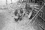 NRK_Ph_041454