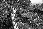 NRK_Ph_041531