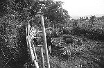 NRK_Ph_041532