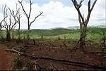 NRK_Ph_42188