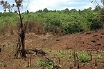 NRK_Ph_42190