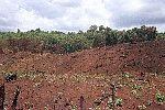 NRK_Ph_42191