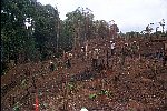 NRK_PH_42194