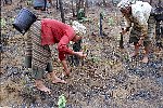 NRK_PH_42206