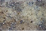 NRK_Ph_42211