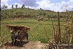 NRK_Ph_42221