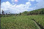 NRK_Ph_42222
