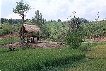 NRK_Ph_42223