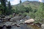 NRK_Ph_42374