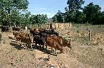 NRK_Ph_42387