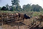 NRK_Ph_42392