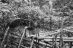 NRK_Ph_47101