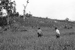 NRK_Ph_47141